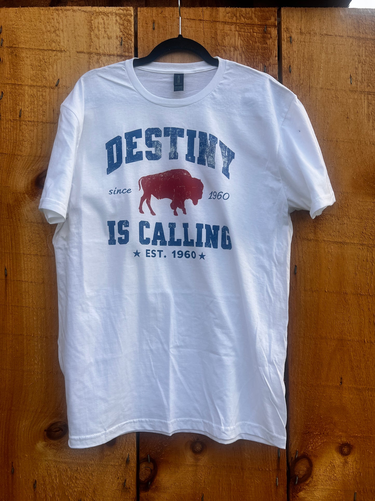 Destiny is Calling Tshirt