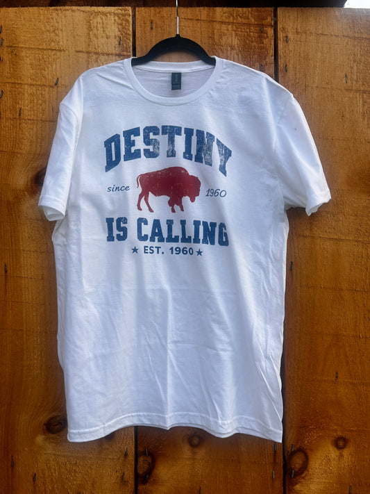 Destiny is Calling Tshirt